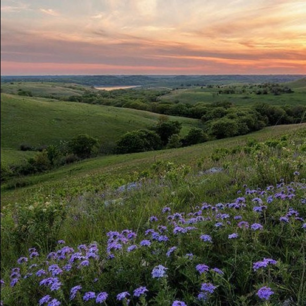 Meet your Posher, Natalia